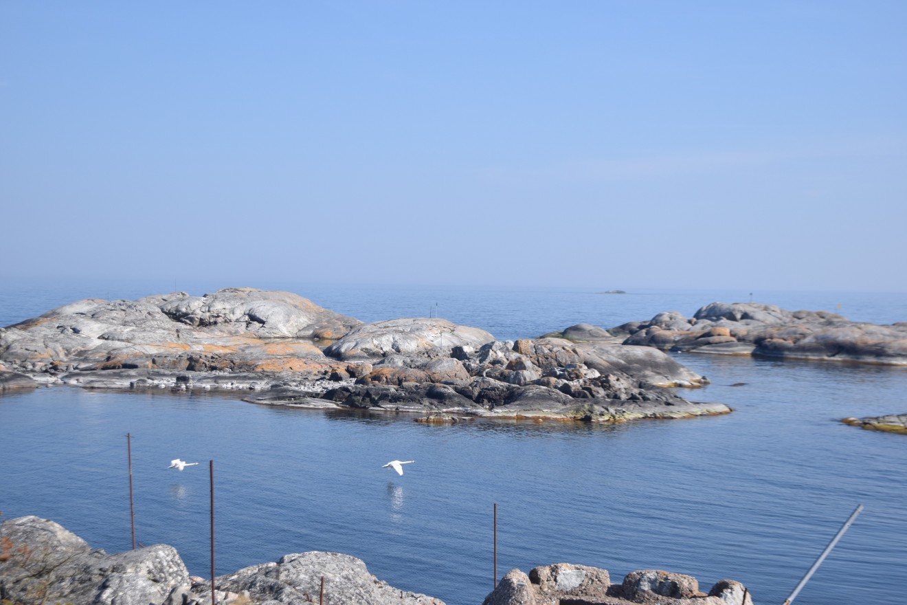 Sweden does have its own issues too. For example, eutrophication has been an issue Sweden has been battling with for years due to both the high traffic and agricultural runoff within the Baltic Sea.